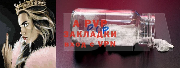 крисы Баксан