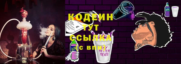 крисы Баксан