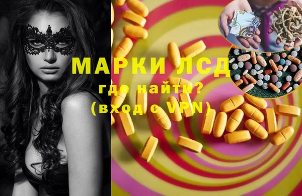 крисы Баксан