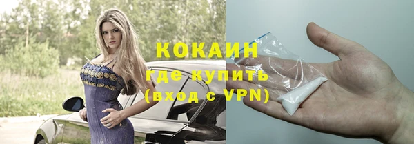 крисы Баксан
