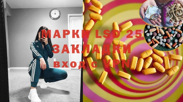 крисы Баксан