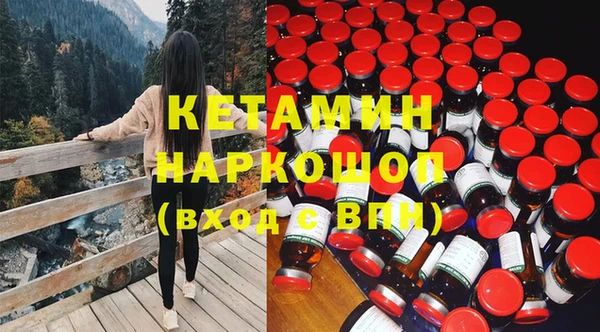 крисы Баксан